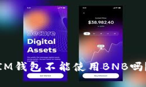 你的TokenTokenIM钱包不能使用BNB吗？这里有解决方案！