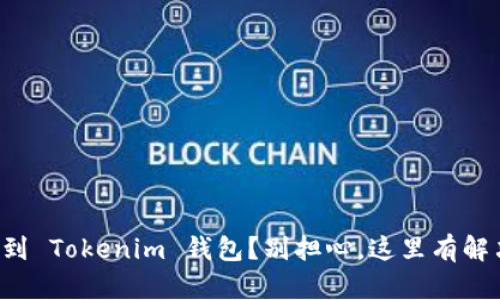 误转账到 Tokenim 钱包？别担心，这里有解决方案！