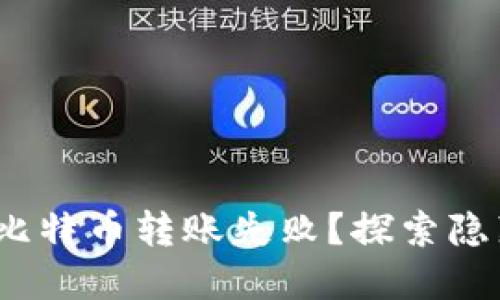 为什么你的Tokenim比特币转账失败？探索隐藏的挑战与解决方案！