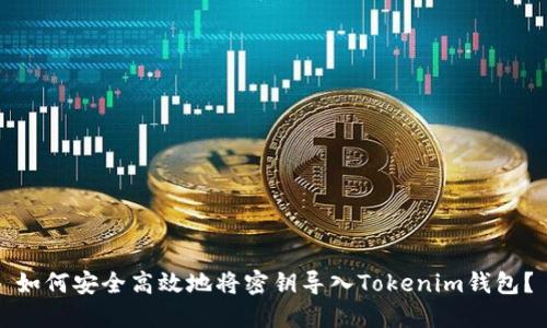 如何安全高效地将密钥导入Tokenim钱包？