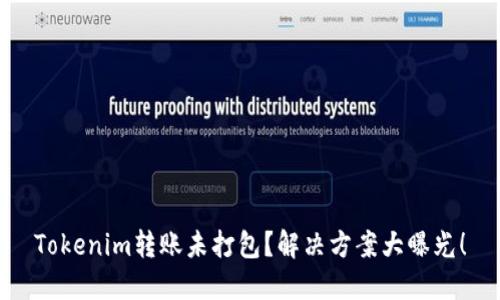 Tokenim转账未打包？解决方案大曝光！