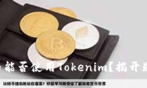 国内能否使用Tokenim？揭开疑云！
