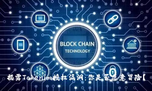 揭露Tokenim授权漏洞：你是否愿意冒险？