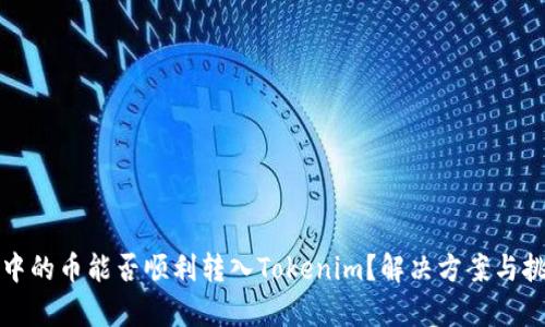 TP钱包中的币能否顺利转入Tokenim？解决方案与挑战解析