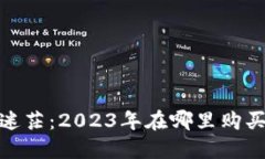 不再迷茫：2023年在哪里购