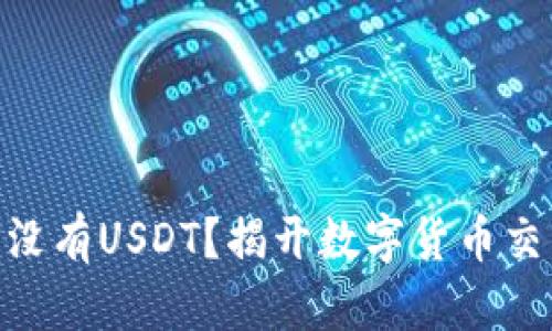 为什么Tokenim上没有USDT？揭开数字货币交易平台的神秘面纱
