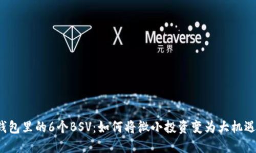 钱包里的6个BSV：如何将微小投资变为大机遇？