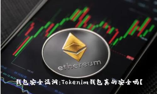 钱包安全漏洞：Tokenim钱包真的安全吗？