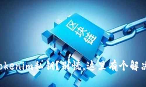 丢失Tokenim私钥？别慌，这里有个解决方案！