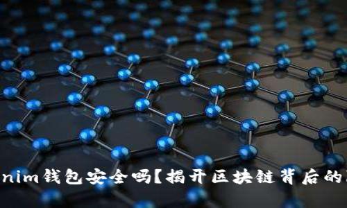 Tokentokenim钱包安全吗？揭开区块链背后的隐忧与真相