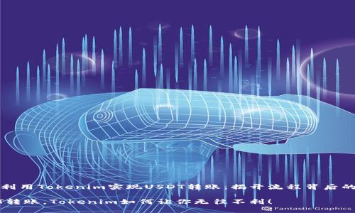 如何利用Tokenim实现USDT转账：揭开流程背后的秘密

USDT转账，Tokenim如何让你无往不利！