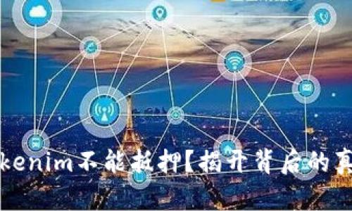 为什么Tokenim不能抵押？揭开背后的真相与挑战