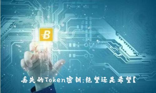 丢失的Token密钥：绝望还是希望？