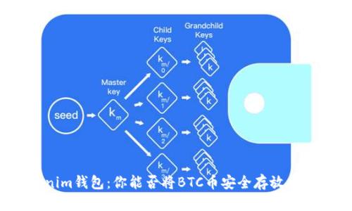 Tokenim钱包：你能否将BTC币安全存放在这里？