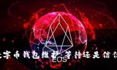 数字币钱包维护：等待还