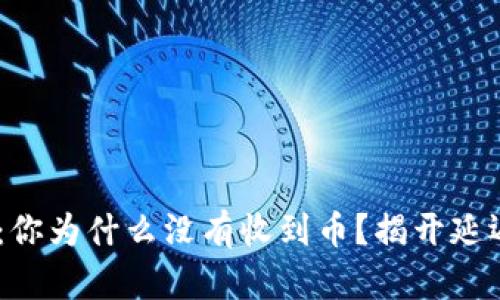 Tokenim：你为什么没有收到币？揭开延迟的真相！