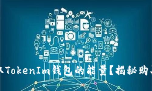 如何快速获取TokenIm钱包的能量？揭秘购买途径与技巧