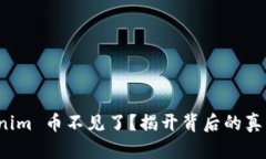 提币到 Tokenim 币不见了？