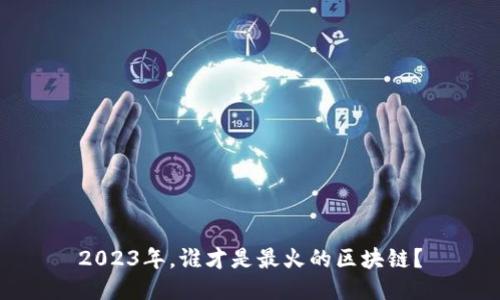 2023年，谁才是最火的区块链？