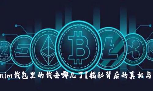 你的Tokenim钱包里的钱去哪儿了？揭秘背后的真相与解决方案！