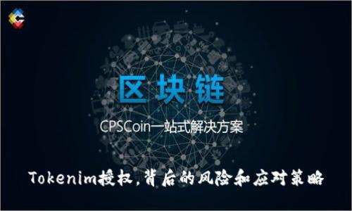 Tokenim授权，背后的风险和应对策略