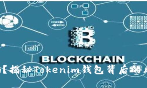 “你的资金安全吗？揭秘Tokenim钱包背后的风险与解决方案！”