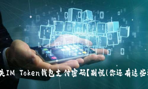 : 丢失IM Token钱包支付密码？别慌！你还有这些选择！