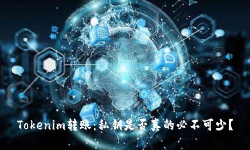 Tokenim转账：私钥是否真的必不可少？