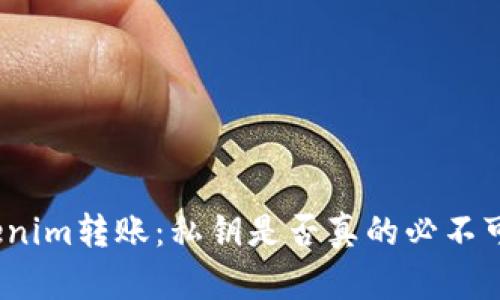 Tokenim转账：私钥是否真的必不可少？