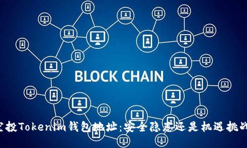 空投Tokenim钱包地址：安全隐患还是机遇挑战？