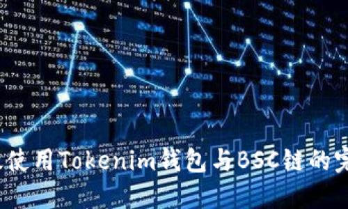 如何高效使用Tokenim钱包与BSC链的完美结合？