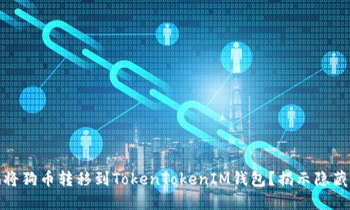 如何安全地将狗币转移到TokenTokenIM钱包?揭示隐藏的潜在风险