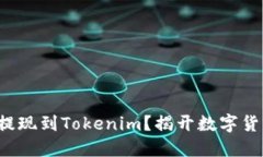 如何将SHI币安全提现到T