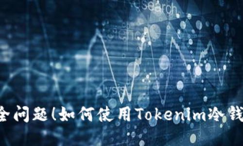 不再担心安全问题！如何使用Tokenim冷钱包安全收款？
