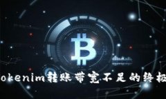 解决Tokenim转账带宽不足的
