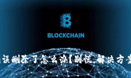 Tokenim误删除了怎么办？别慌，解决方案在这里！
