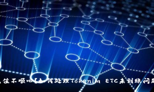 充值不顺心？如何处理Tokenim ETC未到账问题！