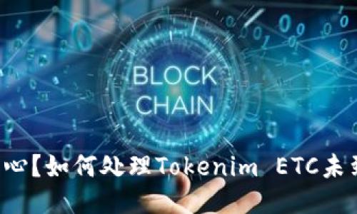 充值不顺心？如何处理Tokenim ETC未到账问题！