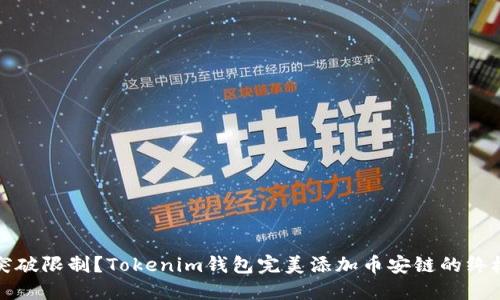 如何突破限制？Tokenim钱包完美添加币安链的终极指南