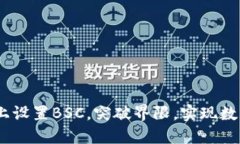 如何在Tokenim上设置BSC，突