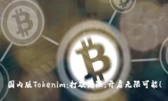 国内版Tokenim：打破局限，