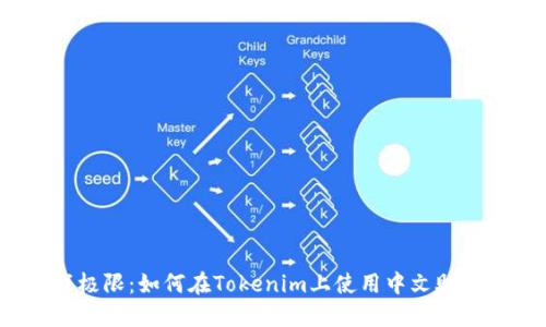 挑战极限：如何在Tokenim上使用中文助记词？