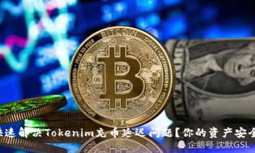 如何快速解决Tokenim充币延迟问题？你的资产安全无忧！