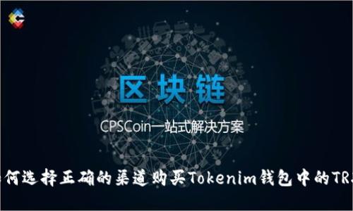 如何选择正确的渠道购买Tokenim钱包中的TRX？
