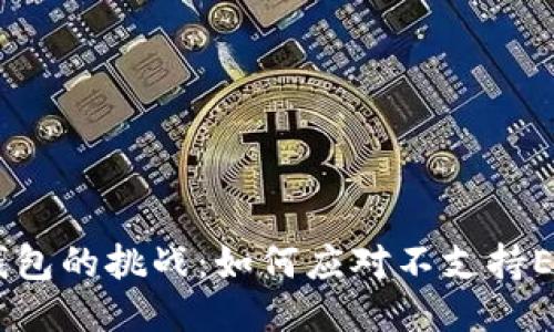 Tokenim钱包的挑战：如何应对不支持ETC的困扰？