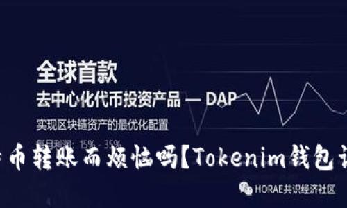 你还在为比特币转账而烦恼吗？Tokenim钱包让你轻松操作!