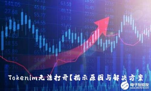 Tokenim无法打开？揭示原因与解决方案