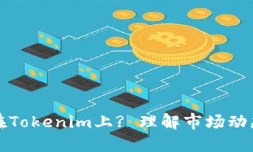 为何不投资在Tokenim上? 理解市场动态与避坑策略