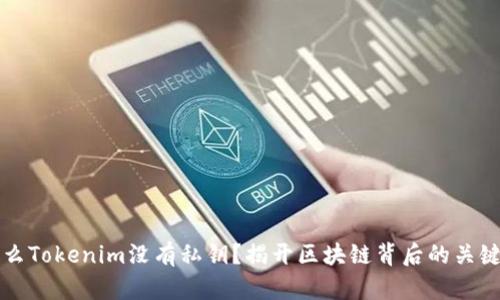 为什么Tokenim没有私钥？揭开区块链背后的关键秘密