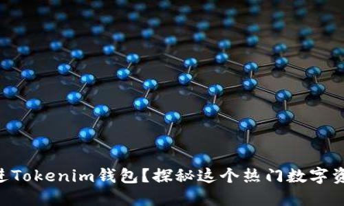 ONT能否放进Tokenim钱包？探秘这个热门数字资产的新选择